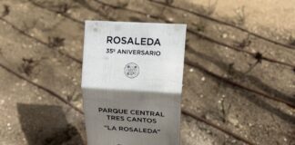 La Rosaleda 35º Aniversario incorpora 100 rosales de alta resistencia