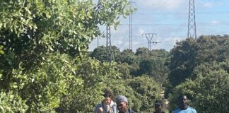 Una travesía urbana con más de 200 ovejas acercará la tradición de la trashumancia a todos los vecinos