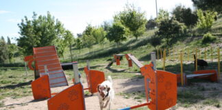 Las áreas caninas mejoran: «equipamiento con mantenimiento»