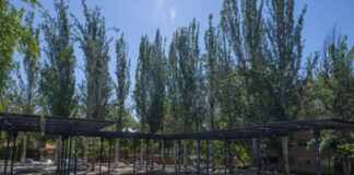 Republican las actuaciones del Salón Urbano: 6,5 millones de euros en ladrillo